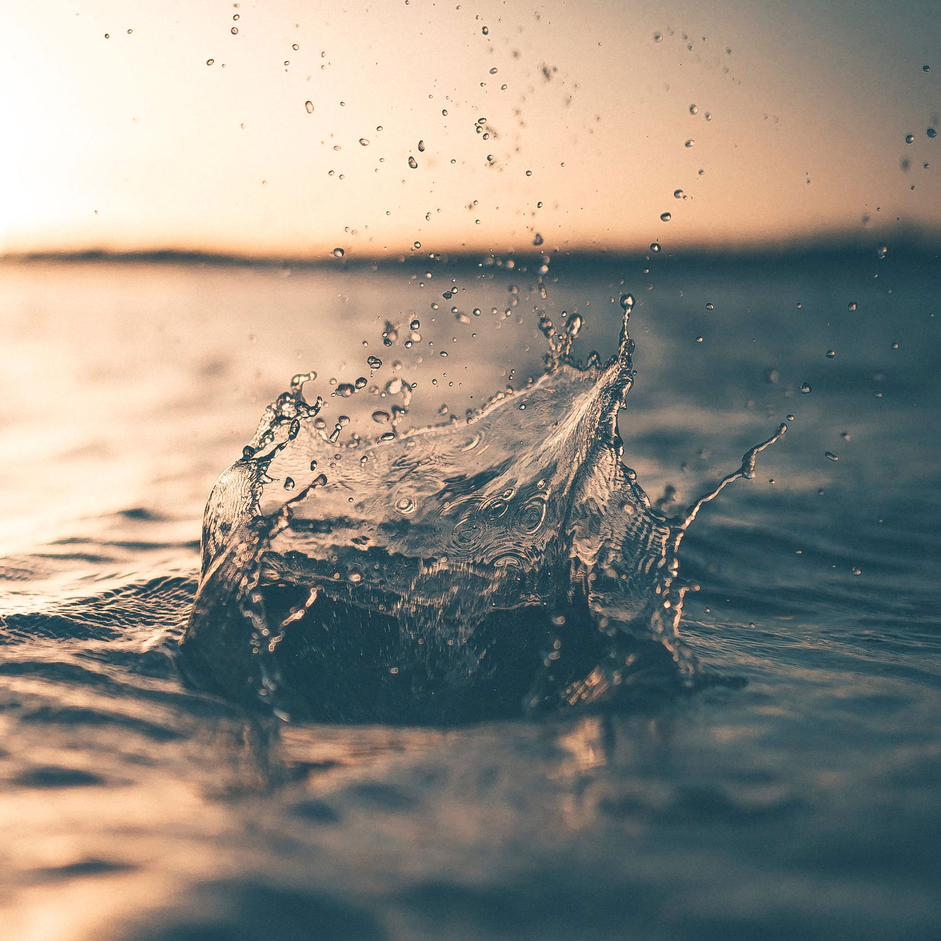 Wasserversorgung Projekt - BauVision Ingenium